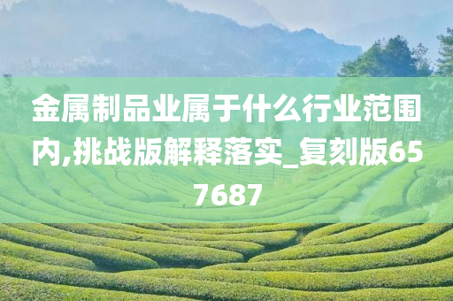 金属制品业属于什么行业范围内,挑战版解释落实_复刻版657687