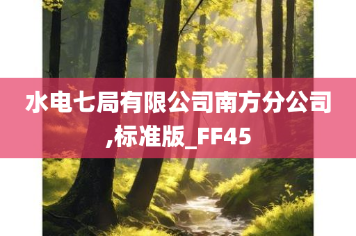 水电七局有限公司南方分公司,标准版_FF45