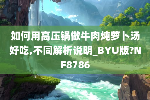 如何用高压锅做牛肉炖萝卜汤好吃,不同解析说明_BYU版?NF8786