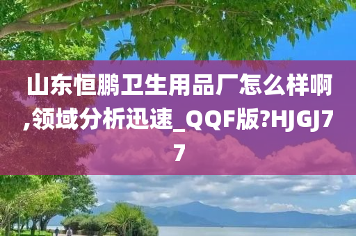 山东恒鹏卫生用品厂怎么样啊,领域分析迅速_QQF版?HJGJ77