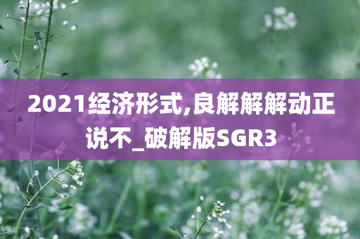 2021经济形式,良解解解动正说不_破解版SGR3