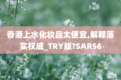 香港上水化妆品太便宜,解释落实权威_TRY版?SAR56