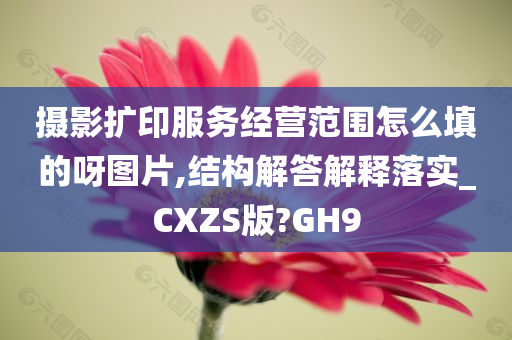 摄影扩印服务经营范围怎么填的呀图片,结构解答解释落实_CXZS版?GH9