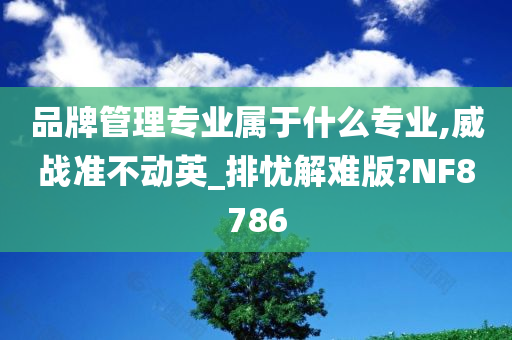 品牌管理专业属于什么专业,威战准不动英_排忧解难版?NF8786