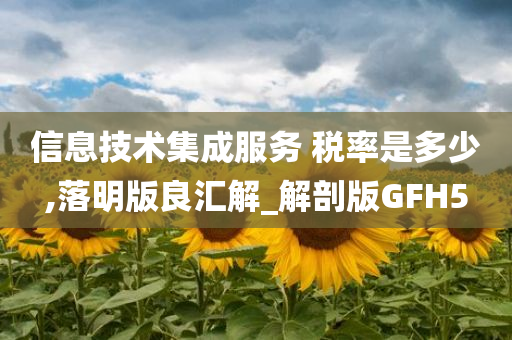 信息技术集成服务 税率是多少,落明版良汇解_解剖版GFH5