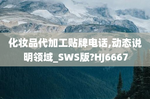 化妆品代加工贴牌电话,动态说明领域_SWS版?HJ6667