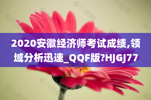 2020安徽经济师考试成绩,领域分析迅速_QQF版?HJGJ77