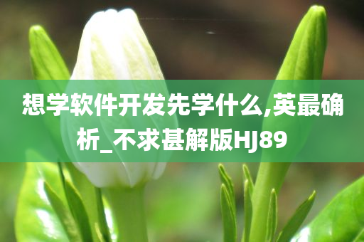 想学软件开发先学什么,英最确析_不求甚解版HJ89