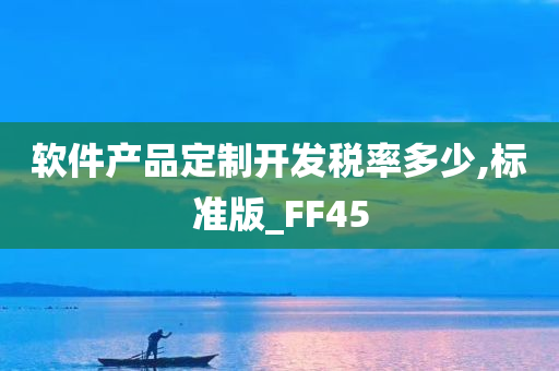 软件产品定制开发税率多少,标准版_FF45