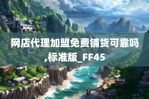 网店代理加盟免费铺货可靠吗,标准版_FF45