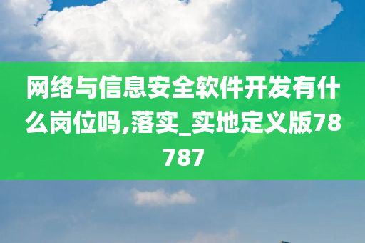 网络与信息安全软件开发有什么岗位吗,落实_实地定义版78787