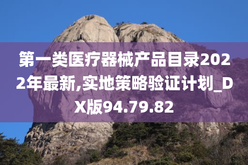 第一类医疗器械产品目录2022年最新,实地策略验证计划_DX版94.79.82