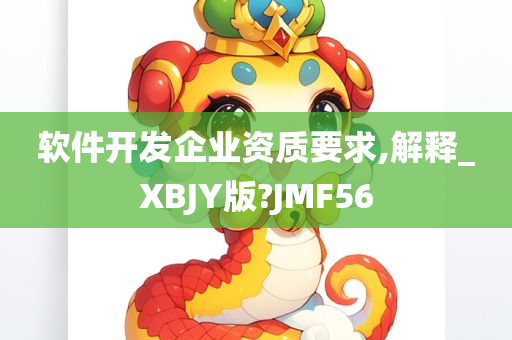 软件开发企业资质要求,解释_XBJY版?JMF56