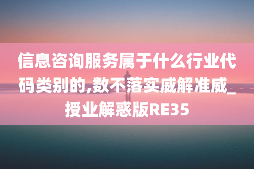 信息咨询服务属于什么行业代码类别的,数不落实威解准威_授业解惑版RE35