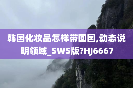 韩国化妆品怎样带回国,动态说明领域_SWS版?HJ6667