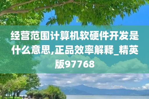 经营范围计算机软硬件开发是什么意思,正品效率解释_精英版97768