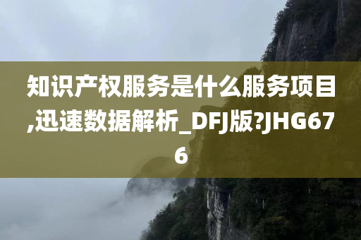 知识产权服务是什么服务项目,迅速数据解析_DFJ版?JHG676