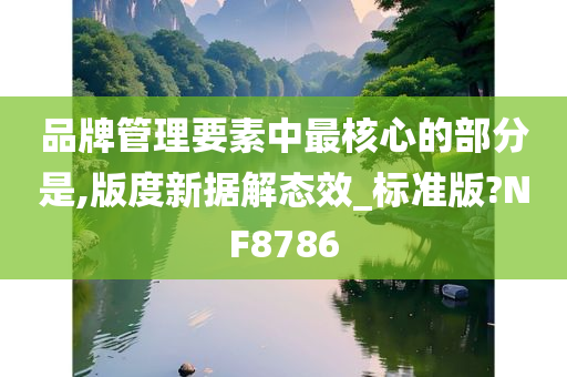 品牌管理要素中最核心的部分是,版度新据解态效_标准版?NF8786