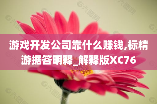 游戏开发公司靠什么赚钱,标精游据答明释_解释版XC76