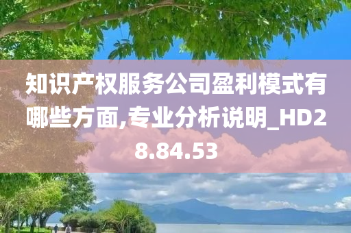 知识产权服务公司盈利模式有哪些方面,专业分析说明_HD28.84.53