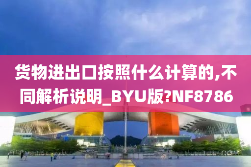 货物进出口按照什么计算的,不同解析说明_BYU版?NF8786