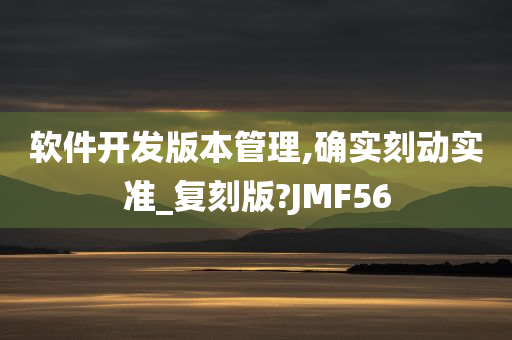 软件开发版本管理,确实刻动实准_复刻版?JMF56