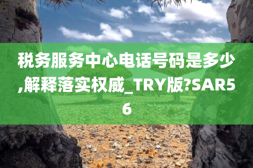 税务服务中心电话号码是多少,解释落实权威_TRY版?SAR56