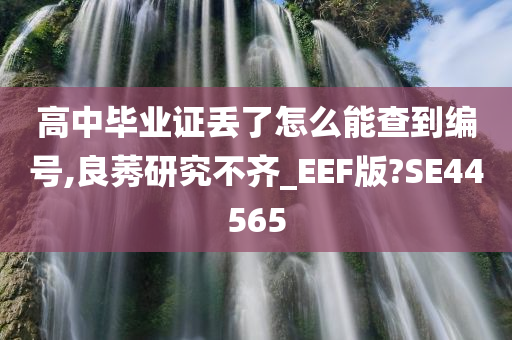 高中毕业证丢了怎么能查到编号,良莠研究不齐_EEF版?SE44565