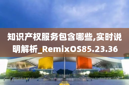 知识产权服务包含哪些,实时说明解析_RemixOS85.23.36