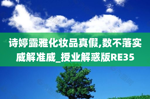 诗婷露雅化妆品真假,数不落实威解准威_授业解惑版RE35