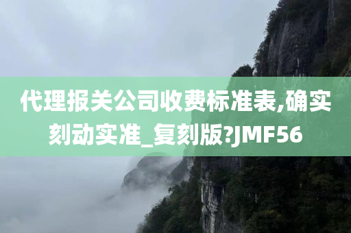 代理报关公司收费标准表,确实刻动实准_复刻版?JMF56