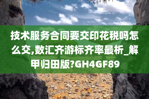 技术服务合同要交印花税吗怎么交,数汇齐游标齐率最析_解甲归田版?GH4GF89