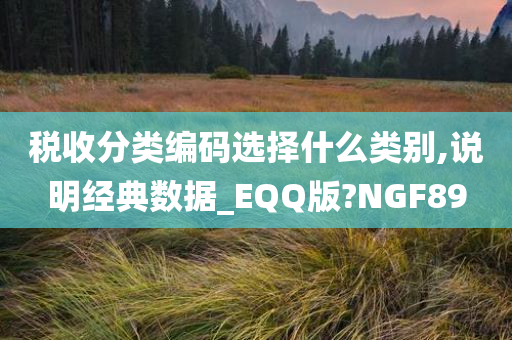 税收分类编码选择什么类别,说明经典数据_EQQ版?NGF89