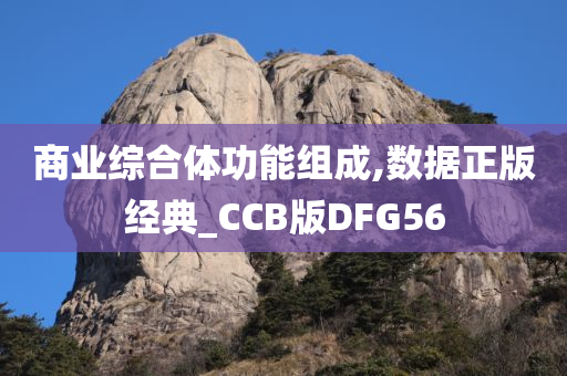 商业综合体功能组成,数据正版经典_CCB版DFG56