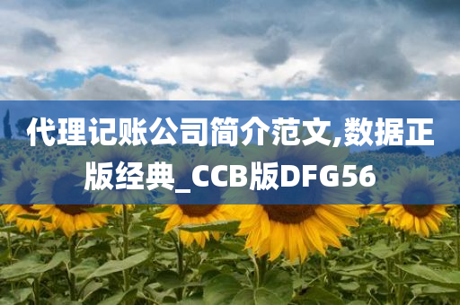 代理记账公司简介范文,数据正版经典_CCB版DFG56