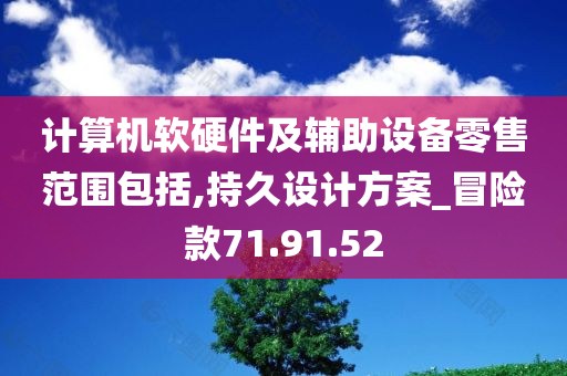 计算机软硬件及辅助设备零售范围包括,持久设计方案_冒险款71.91.52