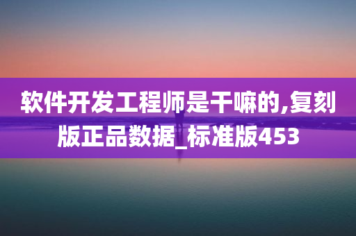 软件开发工程师是干嘛的,复刻版正品数据_标准版453