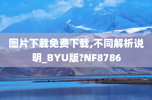 图片下载免费下载,不同解析说明_BYU版?NF8786