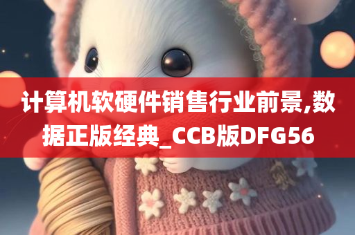 计算机软硬件销售行业前景,数据正版经典_CCB版DFG56