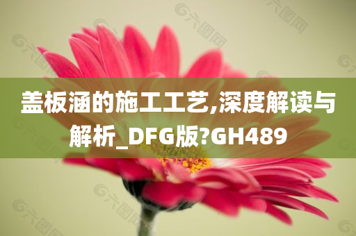 盖板涵的施工工艺,深度解读与解析_DFG版?GH489