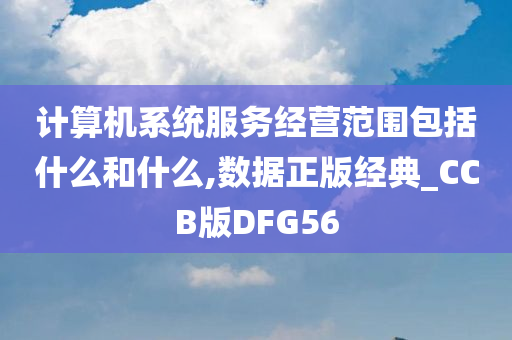 计算机系统服务经营范围包括什么和什么,数据正版经典_CCB版DFG56