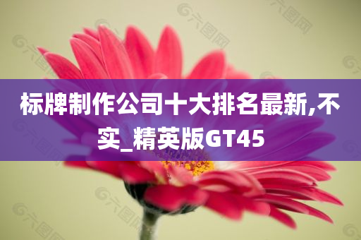 标牌制作公司十大排名最新,不实_精英版GT45