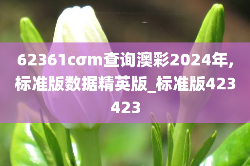 62361cσm查询澳彩2024年,标准版数据精英版_标准版423423