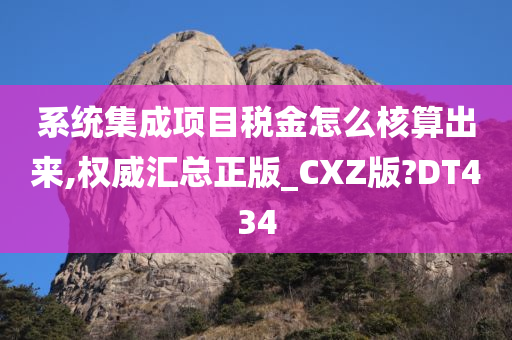 系统集成项目税金怎么核算出来,权威汇总正版_CXZ版?DT434