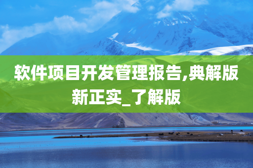 软件项目开发管理报告,典解版新正实_了解版