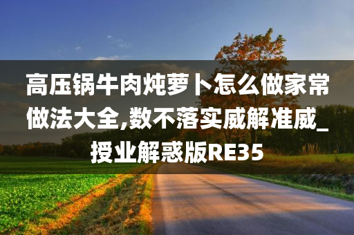 高压锅牛肉炖萝卜怎么做家常做法大全,数不落实威解准威_授业解惑版RE35