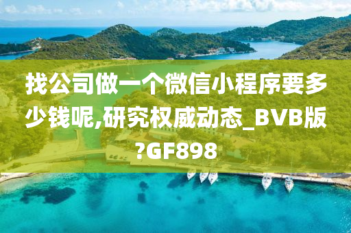 找公司做一个微信小程序要多少钱呢,研究权威动态_BVB版?GF898