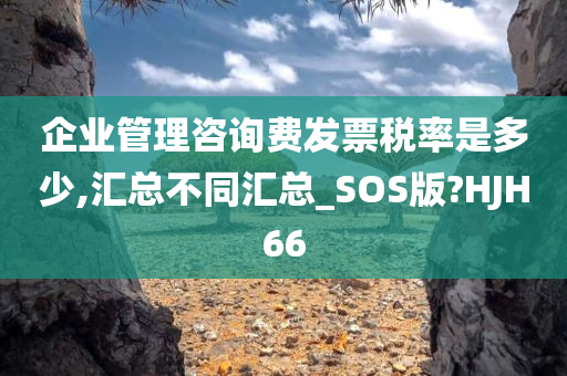 企业管理咨询费发票税率是多少,汇总不同汇总_SOS版?HJH66