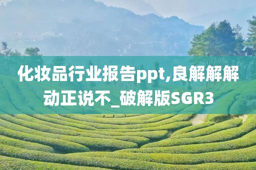 化妆品行业报告ppt,良解解解动正说不_破解版SGR3