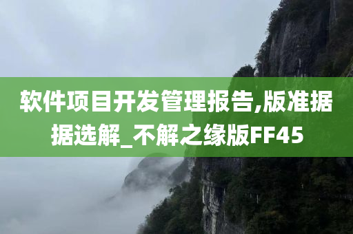 软件项目开发管理报告,版准据据选解_不解之缘版FF45